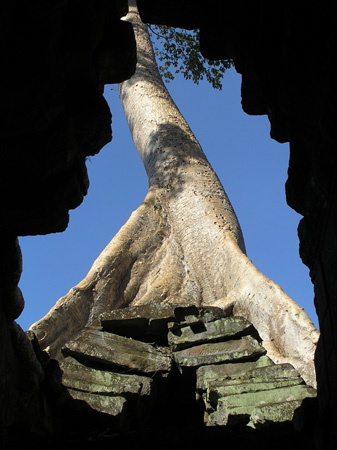 PC270729