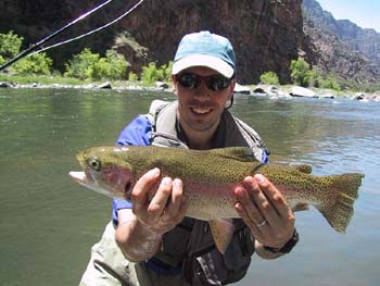 Scott-Bow1