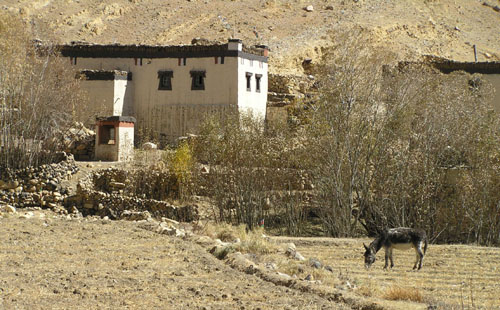 PA260046