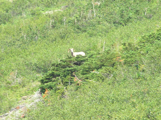 P8200068