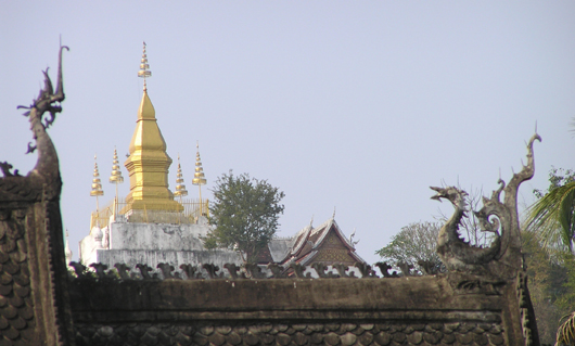 P1241330