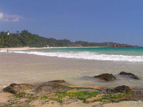 PC040169