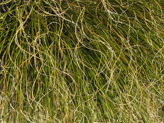 P4013443