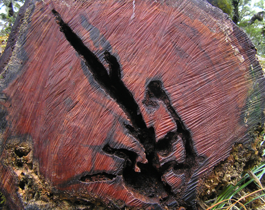 P4023504