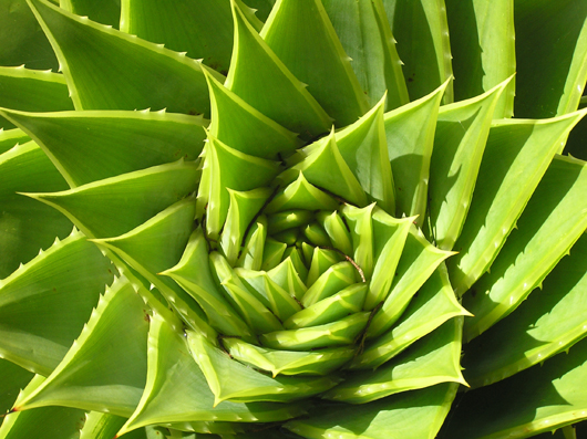 P3273115