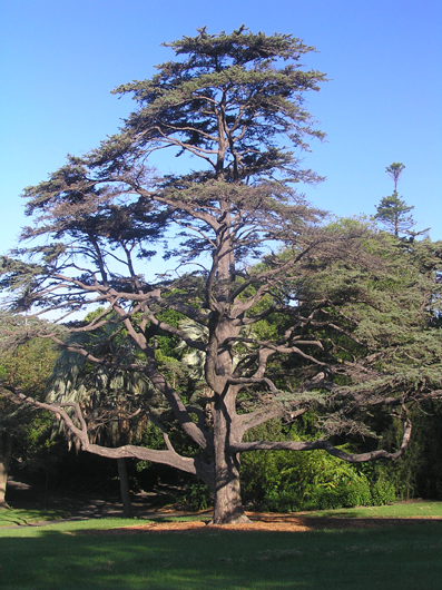 P3012381